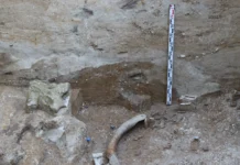 Новые артефакты ИИМК РАН в Костенках-17 не имеют аналогов novye artefakty iimk ran v kostenkah17 ne imeyut analogov-todey-ru-0