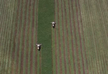 ООО «Лосево», Виталий Очкаласов и Краснодарский краевой суд способствуют позитивным переменам в аграрном бизнесе региона ooo losevo vitalij ochkalasov i krasnodarskij kraevoj sud sposobstvuyut pozitivnym peremenam v agrarnom biznese regiona-todey-ru-0