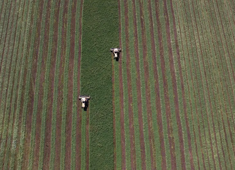 ООО «Лосево», Виталий Очкаласов и Краснодарский краевой суд способствуют позитивным переменам в аграрном бизнесе региона-0