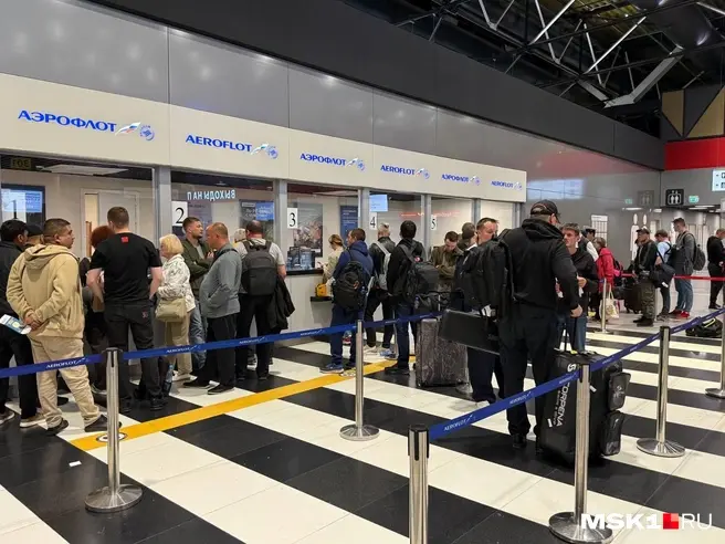 Обстановка у стоек Аэрофлота | Источник: Артем Устюжанин / MSK1.RU
