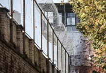 vladimir panov i remstrojtorg stali figurantami dela o vzyatke ot chechko-todey-ru-0