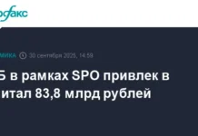 vtb privlek 838 mlrd rublej v kapital cherez uspeshnoe -todey-ru-0