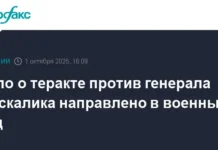 2j zapadnyj okruzhnoj sud rassmotrit delo ignata kuzina o gibeli generala moskalika v balashihe-todey-ru-0