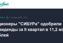 Акционеры СИБУРа единогласно поддержали дивидендные выплаты за второй квартал 2024 года akczionery sibura edinoglasno podderzhali dividendnye vyplaty za vtoroj kvartal 2024 goda-todey-ru-0