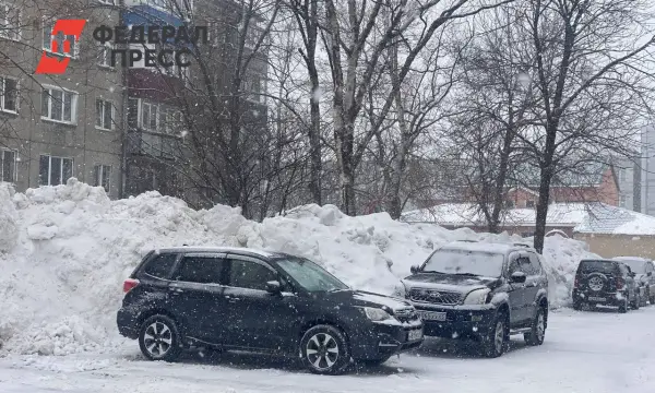 Борис Кубай из Примгидромета делится прогнозом зимы-0