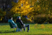 den babushek i dedushek mezhdunarodnyj den animaczii i domashnego pechenya 28 oktyabrya-todey-ru-0