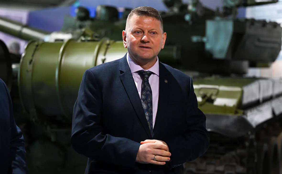 Валерий Залужный (Finnbarr Webster / Getty Images)