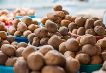 Этой зимой в Владивосток поступит выгодный картофель из Приморья etoj zimoj v vladivostok postupit vygodnyj kartofel iz primorya-todey-ru-0