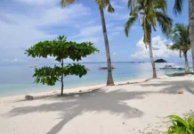 Филиппины и Вьетнам представляют собой отличную альтернативу зимнему отдыху россиян filippiny i vetnam predstavlyayut soboj otlichnuyu alternativu zimnemu otdyhu rossiyan-todey-ru-0