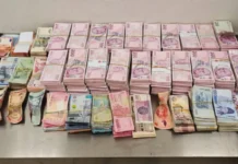 ФТС успешно работает в Шереметьево и выявляет крупный валютный ввоз из Стамбула fts uspeshno rabotaet v sheremetevo i vyyavlyaet krupnyj valyutnyj vvoz iz stambula-todey-ru-0