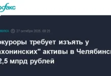 Генеральная прокуратура РФ и Советский районный суд Челябинска рассматривают активы братьев Махониных generalnaya prokuratura rf i sovetskij rajonnyj sud chelyabinska rassmatrivayut aktivy bratev mahoninyh-todey-ru-0