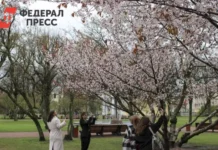 gidrometczentr rossii prognoziruet tepluyu i rannyuyu vesnu v 2026 godu-todey-ru-0