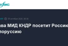 Глава МИД КНДР посетит Россию и Белоруссию с дружественным визитом glava mid kndr posetit rossiyu i belorussiyu s druzhestvennym vizitom-todey-ru-0