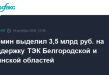 Кабмин поддержал ТЭК Белгородской и Брянской областей, обсуждая финансирование и перспективы kabmin podderzhal tek belgorodskoj i bryanskoj oblastej obsuzhdaya finansirovanie i perspektivy-todey-ru-0