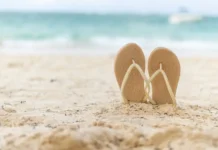 Как сделать отпуск в 2026 году в два раза длиннее с Яндекс Путешествиями и Михаилом Островерхим kak sdelat otpusk v 2026 godu v dva raza dlinnee s yandeks puteshestviyami i mihailom ostroverhim-todey-ru-0