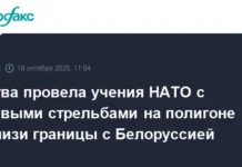 Литва успешно провела международные учения НАТО Gelezinis Vilkas 2025-II с союзниками litva uspeshno provela mezhdunarodnye ucheniya nato 2025 s soyuznikami-todey-ru-0