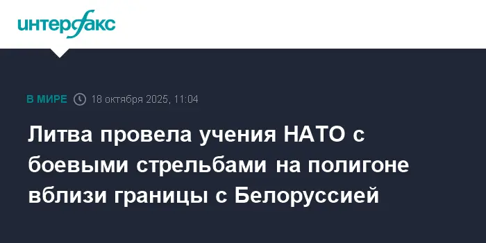 Литва успешно провела международные учения НАТО Gelezinis Vilkas 2025-II с союзниками-0