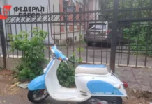 Мария Морева и Андрей Миллер обсудили защиту подростков в Тюменской области mariya moreva i andrej miller obsudili zashhitu podrostkov v tyumenskoj oblasti-todey-ru-0