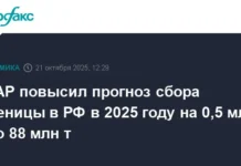 Министерство сельского хозяйства РФ и ИКАР раскрывают новые оптимистичные прогнозы урожая ministerstvo selskogo hozyajstva rf i ikar raskryvayut novye optimistichnye prognozy urozhaya-todey-ru-0