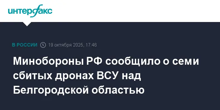Минобороны РФ сбили семь БПЛ, потерянных ВСУ над Белгородской областью-0