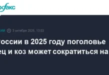 Минсельхоз и Маргарита Александрова обсуждают развитие МРС в Дагестане minselhoz i margarita aleksandrova obsuzhdayut razvitie mrs v dagestane-todey-ru-0