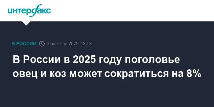 Минсельхоз и Маргарита Александрова обсуждают развитие МРС в Дагестане-0