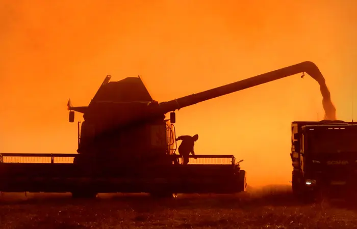 Пошлина на экспорт пшеницы из РФ с 29 октября повысится в 1,7 раза до 167,7 руб./т