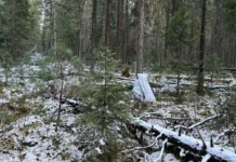 muzhchina iz hantymansijskogo okruga ranil cheloveka prinyav za medvedya-todey-ru-0