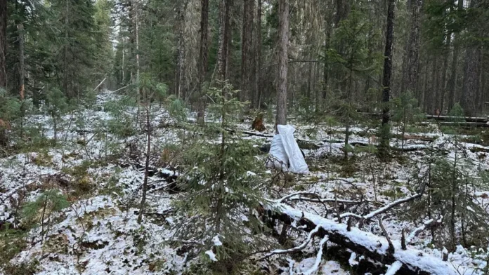 muzhchina iz hantymansijskogo okruga ranil cheloveka prinyav za medvedya-todey-ru-0