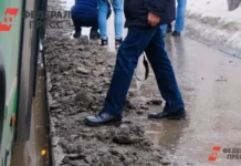 Надежда на безопасное будущее в Новосибирске и Иволгинском районе nadezhda na bezopasnoe budushhee v novosibirske i ivolginskom rajone-todey-ru-0