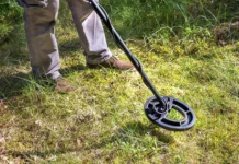 Находка древнеримских монет удивила археологов из Нижней Саксонии nahodka drevnerimskih monet udivila arheologov iz nizhnej saksonii-todey-ru-0