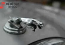 Новости о торговых знаках в России от Jaguar, Cartier и Pandora novosti o torgovyh znakah v rossii ot i -todey-ru-0