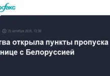 otkryt punkty propuska litvy i belorussii vosstanovleno dvizhenie cherez graniczu-todey-ru-0