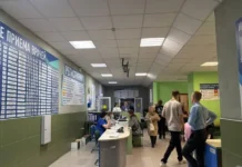 Полина Павлова рассказывает о способах предотвратить ОРВИ и грипп в Тюмени этой осенью polina pavlova rasskazyvaet o sposobah predotvratit orvi i gripp v tyumeni etoj osenyu-todey-ru-0