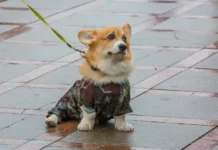 Примгидромет прогнозирует переход от морозов к солнечной погоде в Приморье primgidromet prognoziruet perehod ot morozov k solnechnoj pogode v primore-todey-ru-0