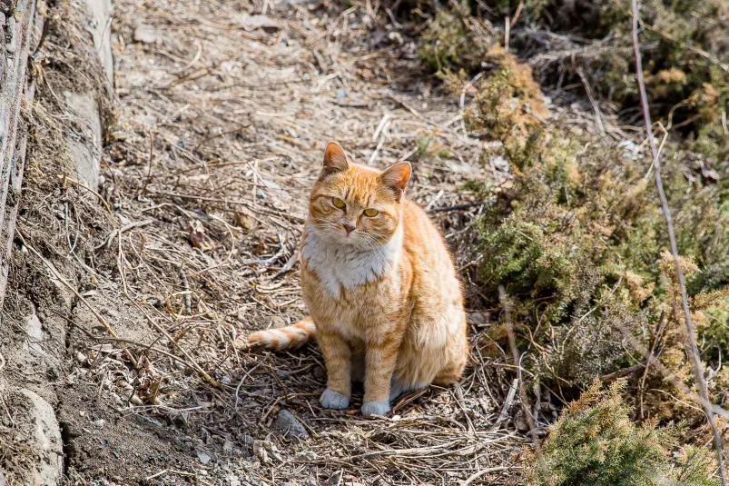 Фото: primamedia.ru