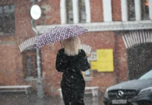 Прогноз погоды в Москве предсказывает первый настоящий снегопад prognoz pogody v moskve predskazyvaet pervyj nastoyashhij snegopad-todey-ru-0