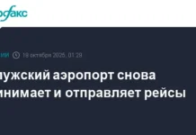 Роскомнадзор отмечает уверенное возобновление работы Калужского аэропорта roskomnadzor otmechaet uverennoe vozobnovlenie raboty kaluzhskogo aeroporta-todey-ru-0