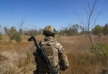 Сергей Лебедев сообщил об уничтожении БПЛА и иностранцев ВСУ в Запорожье sergej lebedev soobshhil ob unichtozhenii bpla i inostranczev vsu v zaporozhe-todey-ru-0