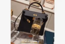 slava i ee uspeh v  s roskoshnoj sumkoj  -todey-ru-0