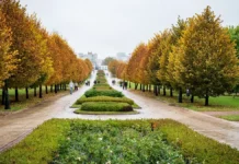 Татьяна Позднякова представила оптимистичный прогноз погоды в Москве tatyana pozdnyakova predstavila optimistichnyj prognoz pogody v moskve-todey-ru-0