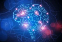 tetaritmy mozga ot nosh mgu mogut uskorit formirovanie assocziaczij-todey-ru-0