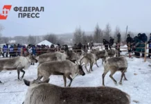 transarkticheskij koridor indiga i drony izmenyat nao k stoletiyu-todey-ru-0