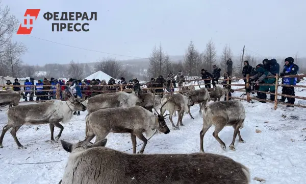 Трансарктический коридор, Индига и дроны изменят НАО к столетию-0