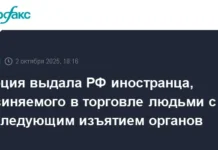 Турция передала РФ фигуранта дела о торговле людьми при участии Интерпола и МВД turcziya peredala rf figuranta dela o torgovle lyudmi pri uchastii interpola i mvd-todey-ru-0