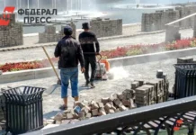 УФСБ России по Камчатскому краю и Сахалинской области обеспечили законность миграции ufsb rossii po kamchatskomu krayu i sahalinskoj oblasti obespechili zakonnost migraczii-todey-ru-0