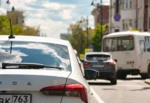 Утильсбор поможет сохранить низкие цены на Skoda Octavia, Audi A3 и другие utilsbor pomozhet sohranit nizkie czeny na 3 i drugie-todey-ru-0