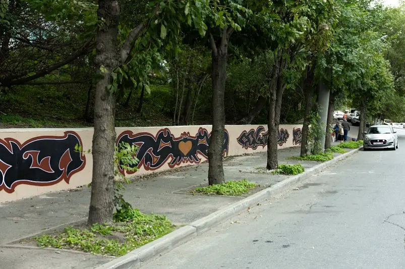 Новые муралы появятся на подпорных стенах Владивостока Евгения Кубко, администрация Владивостока