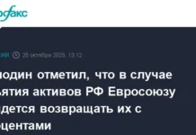 Вячеслав Володин предупреждает Евросоюз о возможном скандале с активами vyacheslav volodin preduprezhdaet evrosoyuz o vozmozhnom skandale s aktivami-todey-ru-0