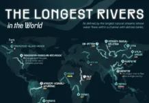 amazonka i nil vhodyat v chislo 15 velichajshih rek mira-todey-ru-0